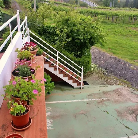 Finca Escusas Sanxenxo Exterior photo